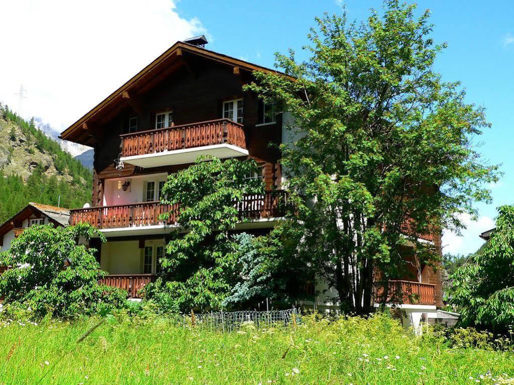 Haus Alpenperle Apartment Saas-Almagell Bagian luar foto