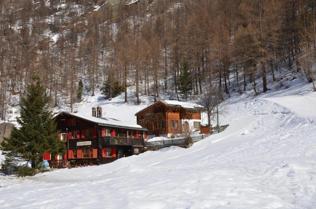 Haus Alpenperle Apartment Saas-Almagell Bagian luar foto