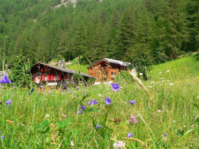 Haus Alpenperle Apartment Saas-Almagell Bagian luar foto