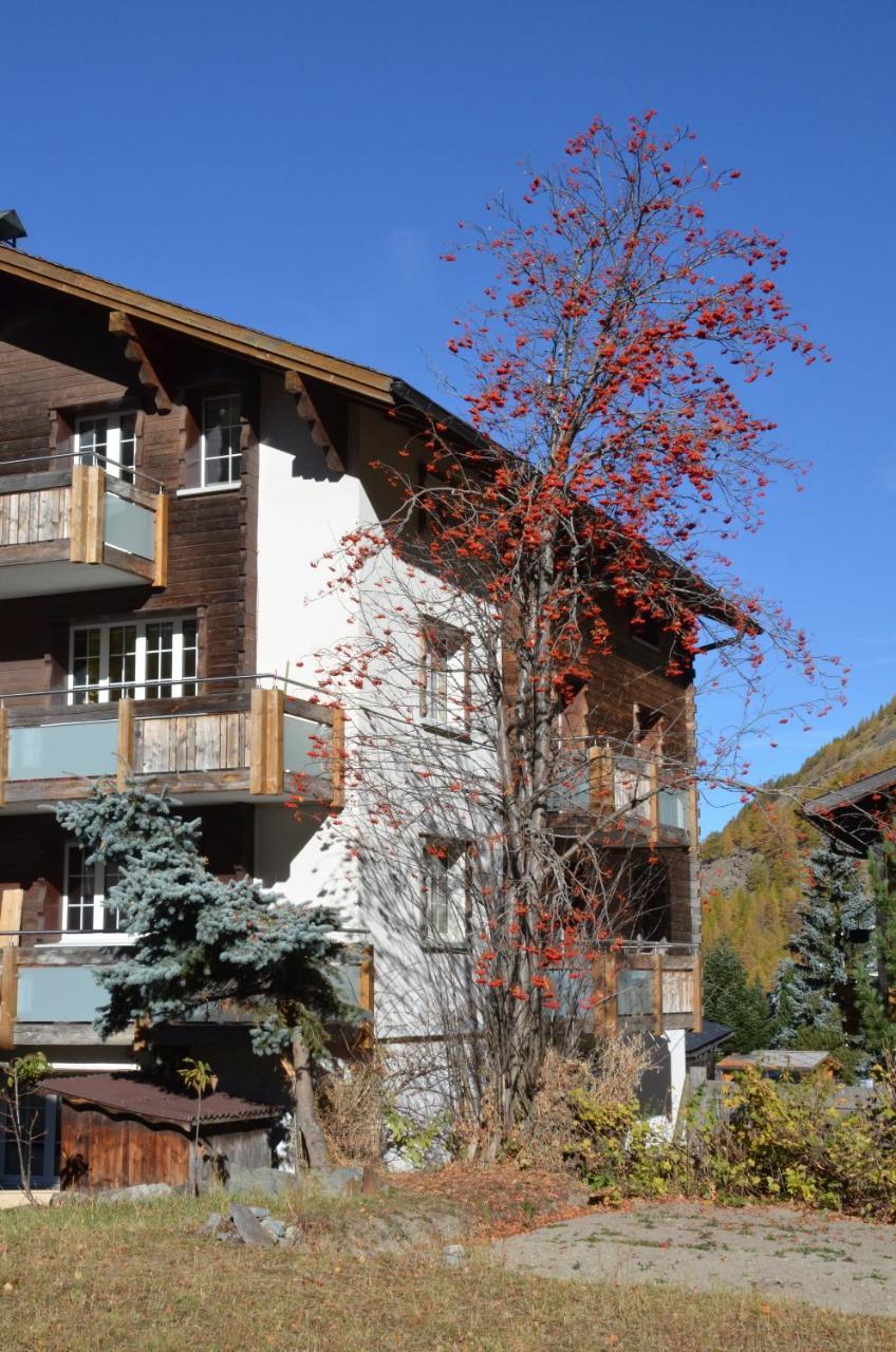 Haus Alpenperle Apartment Saas-Almagell Bagian luar foto